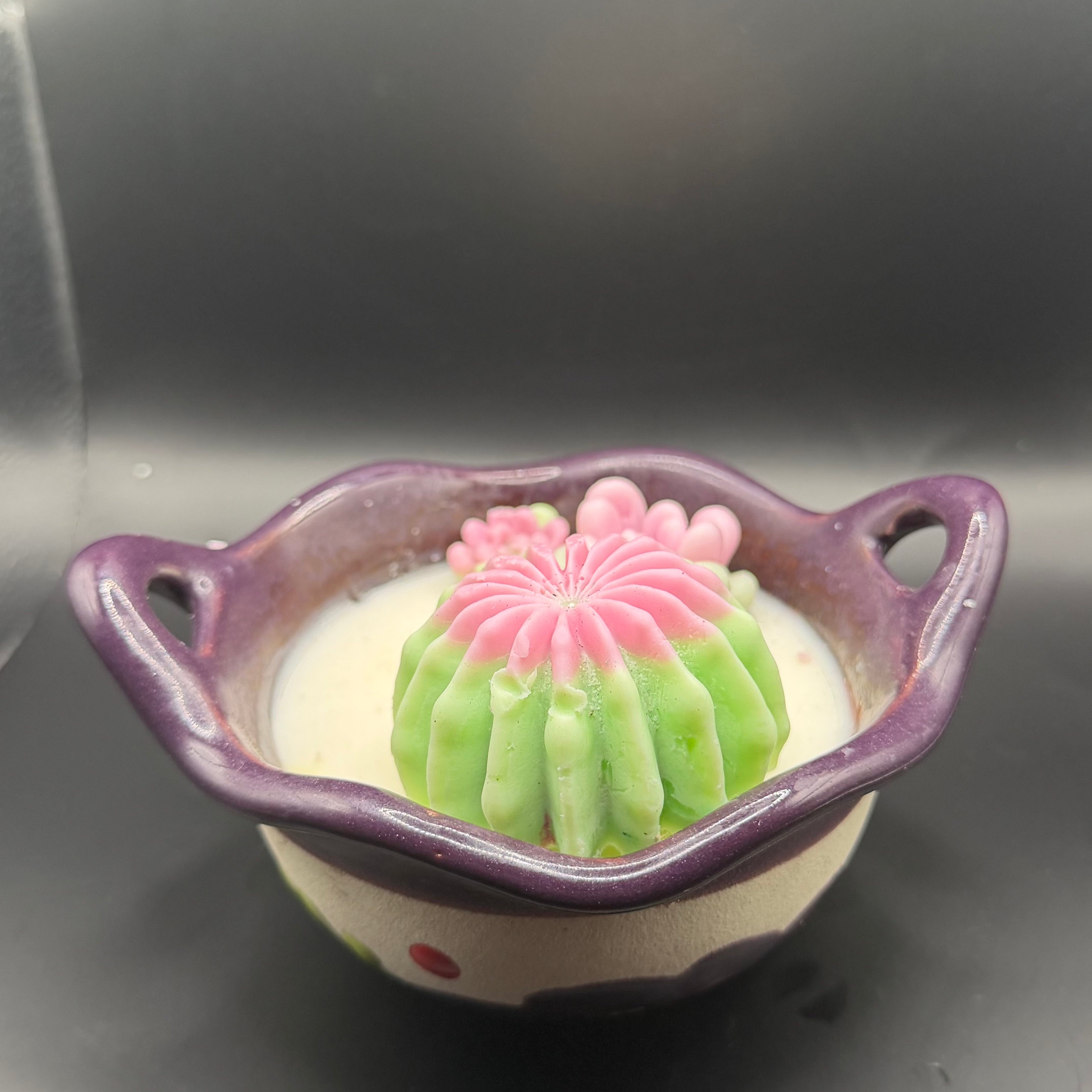 Talavera Pot Garden Candle